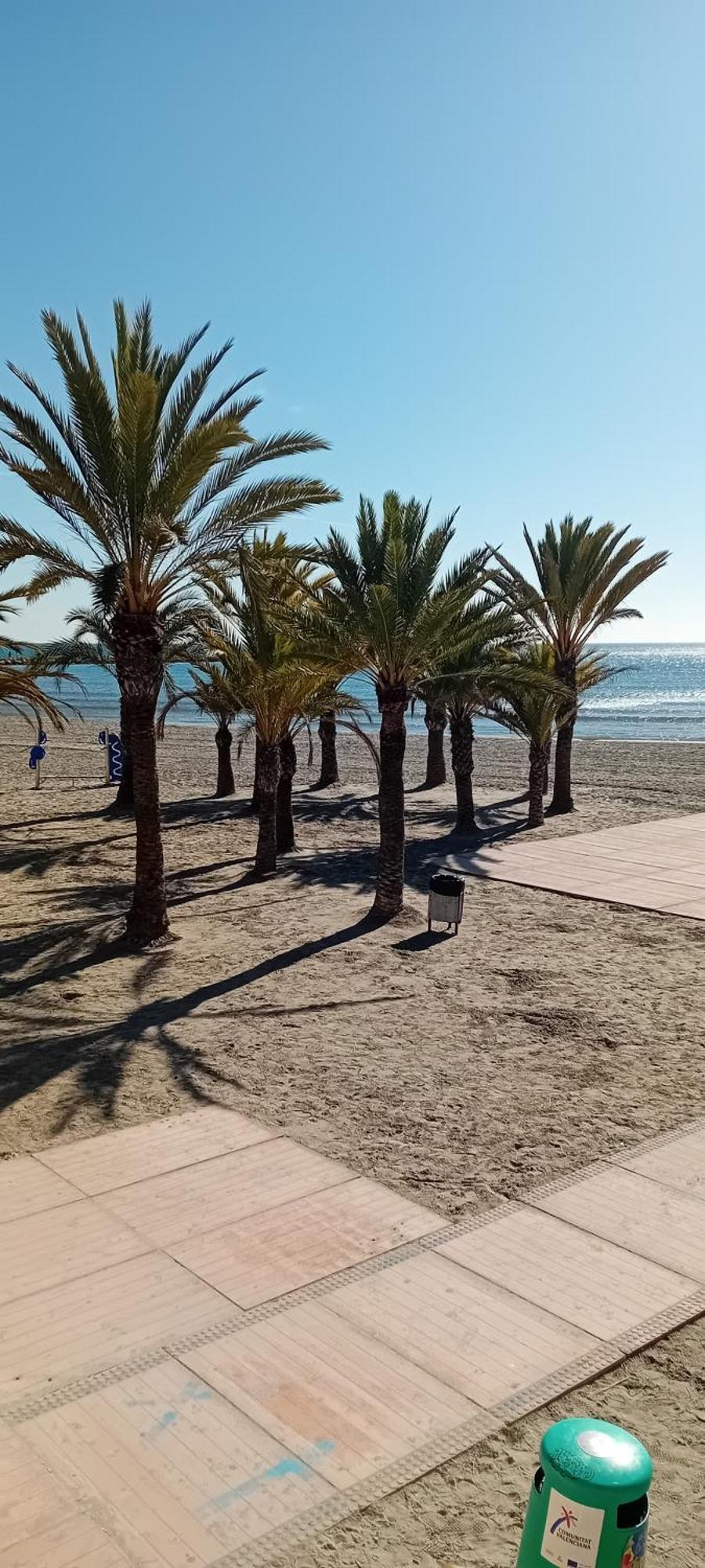 Apartament Casa Tara Santa Pola Zewnętrze zdjęcie
